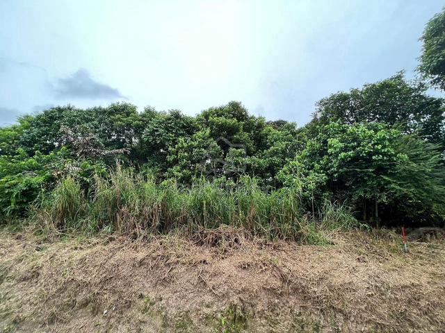 Kulai Housing Land 1