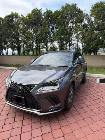 2020 Lexus NX300 2.0 F SPORT (A) - 1