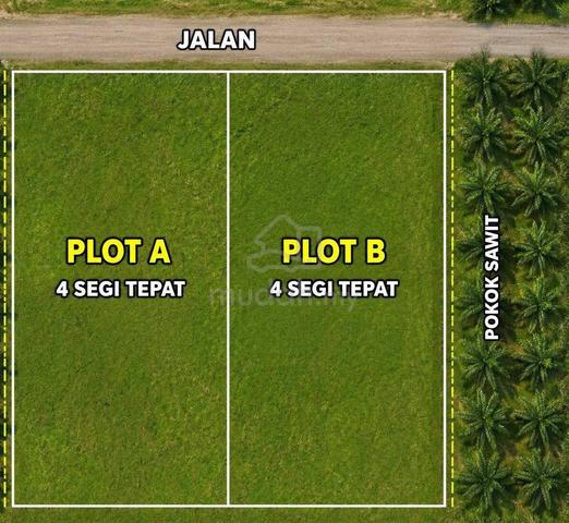Tanah Murah Untuk Dijual Di Tanjong Piadang‼️‼️ 1