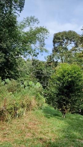 2.68 ekar Tanah Kebun Dusun Batu 22 Sungai Lui Hulu Langat 1