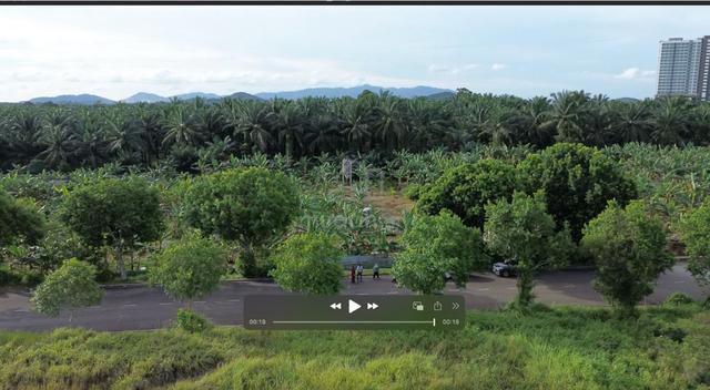 Agricultural Land in Gelang Patah (17 Acre) for Sale 1