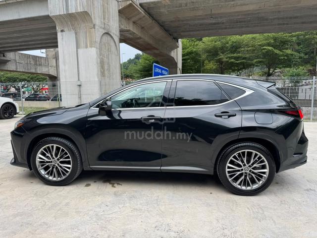 2023 Lexus NX 250 2.5 VERSION L BLACK INTERIOR HUD - 3