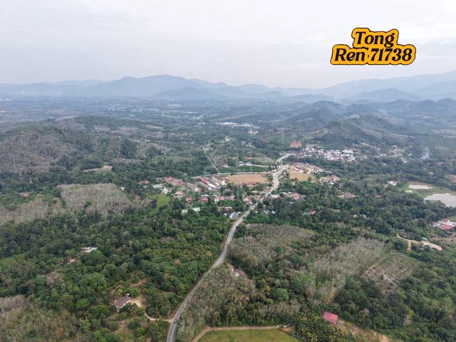 *For Sale*Oil Palm Baling 👉 Kedah 1