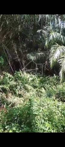 Sijangkang Batu 9, Jalan Kebun Baru, 📌2.121Acres flat Land for sale 1