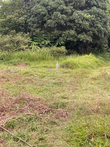 Lot 365 Jln Tok Sulaiman 4500kps untuk di Jual di Jeram Batu 20 Slgr 1