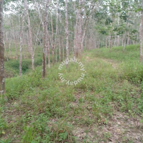 Freehold Agriculture Land For Sale At Kepis,Bahau,Kuala Pilah,N.S 2