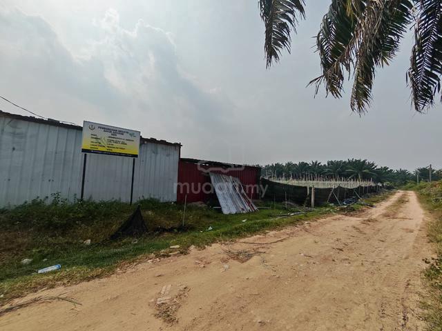 ​5 Acres of Agricultural Land / Vegetable Farmland 1