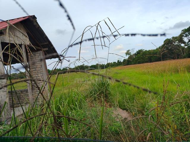 Tanah Sawah Murah Lokasi Strategik 1