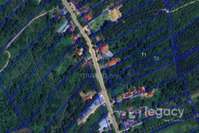 2 Bidang Tanah Pertanian Di Kampung Temin, Sungai Siput Untuk Dijual. 1