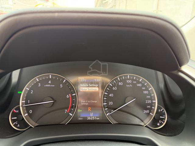 2022 Lexus RX300 LUXURY 5A Special Color Many Unit - 4