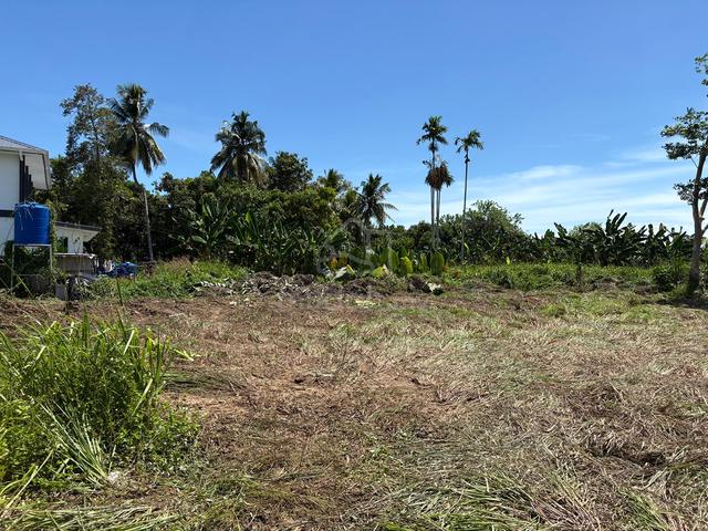 Single Title Grant Bungalow Plot tuaran 3