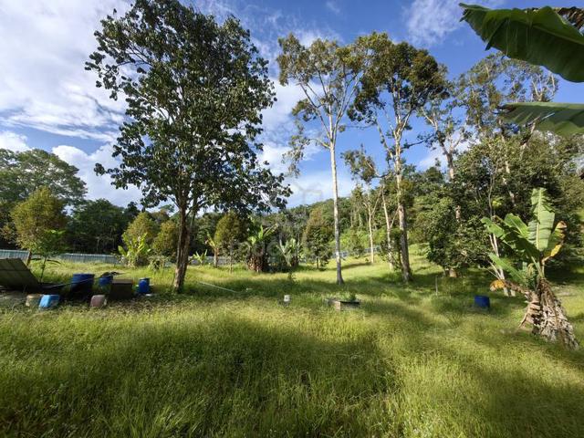 2 Acres Freehold Durian Farm Next To River Padang Tengku Kuala Lipis 1
