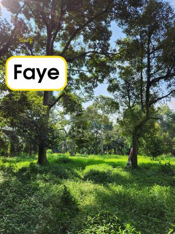 3.225 Acres โ Old Durian Farm With Reserved Road | Beruas | Perak 1