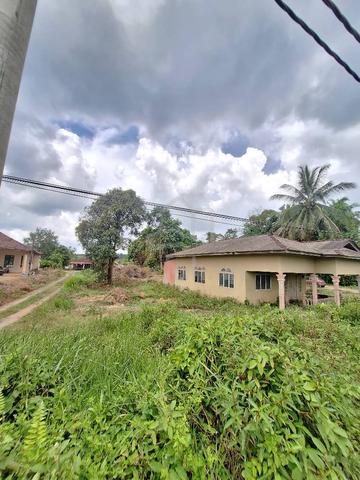 Tanah Rumah Sebiji ½Ekar,Bukit Merah,Padang Pulut,Dungun 1