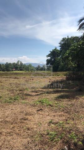 Tanah kosong untuk disewa 1
