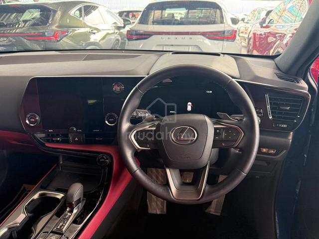 2023 Lexus NX250 BASE Ocean Blue Rare Promo - 5