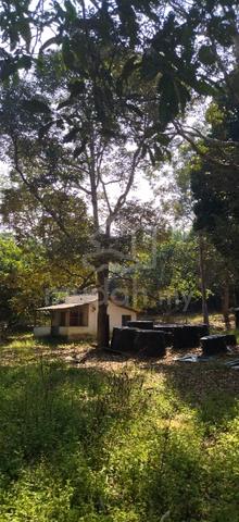 Tanah Kebun Buahan 3.75 Ek Dalam Kawasan Kampung Di Johol Kuala Pilah 1