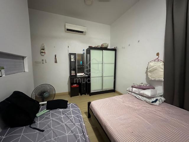 Shamelin Star 1