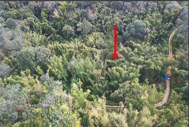 Selangor Batang Kali Agricultural Leasehold Land For Sale 1