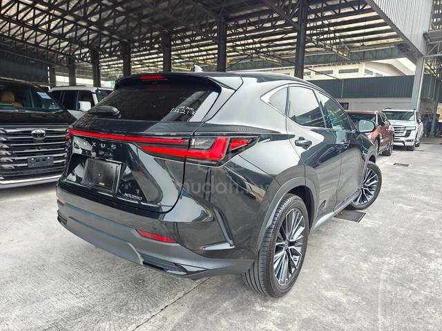 2023 Lexus NX 250 Luxury Mark Levinson P/Roof 4Cam - 2