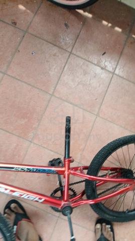 cycle body  - photo 4 of 6
