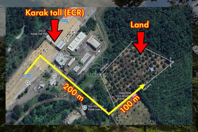 Durian Orchard (Young Fruit trees) - 3.46 acres - Karak For Sale 1