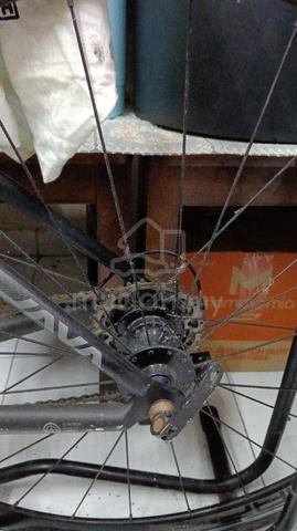 Carousel Image