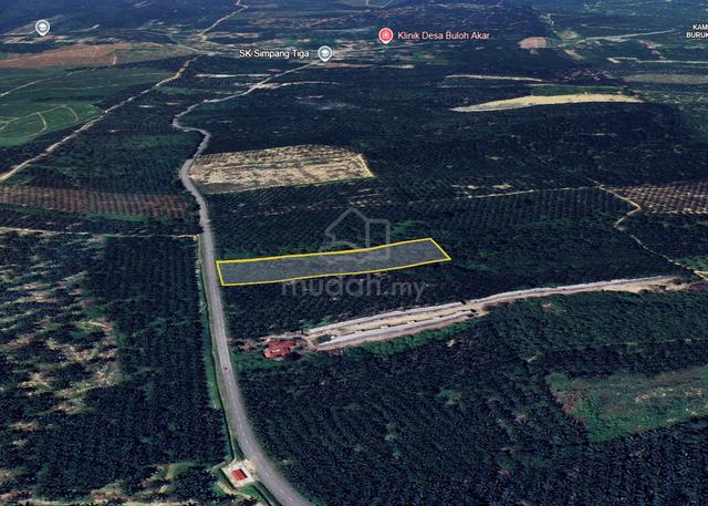 Tanah Pertanian Tepi Jalan + Pokok Sentang Di Tanjung Belanja, Parit 1