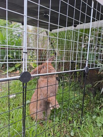 Carousel Image Selected