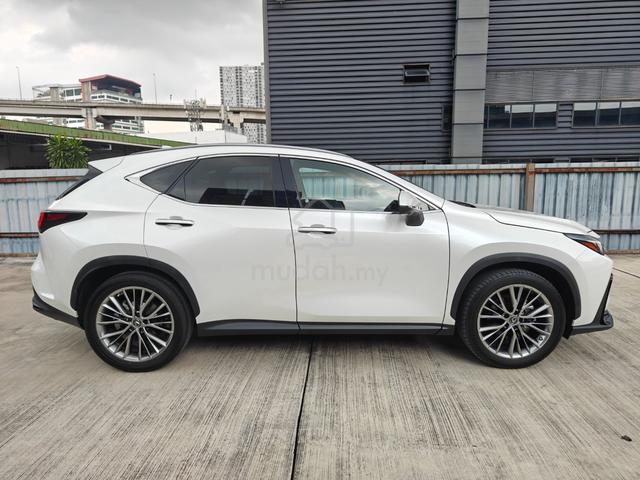 2022 Lexus NX 250 VL P/Roof 4Cam Brown Leather HUD - 5