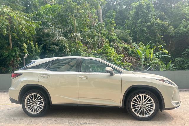 Local FSR 2019 Lexus RX300 2.0 Full serv record - 2