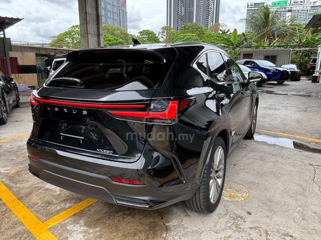 2023 Lexus NX 250 2.5 V.L (A) SUV - 5