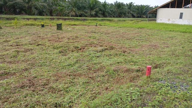 Plot Tanah untuk dijual 1