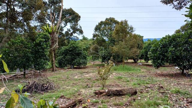 4.7 Acre land Manti , agricultural land for sale 1