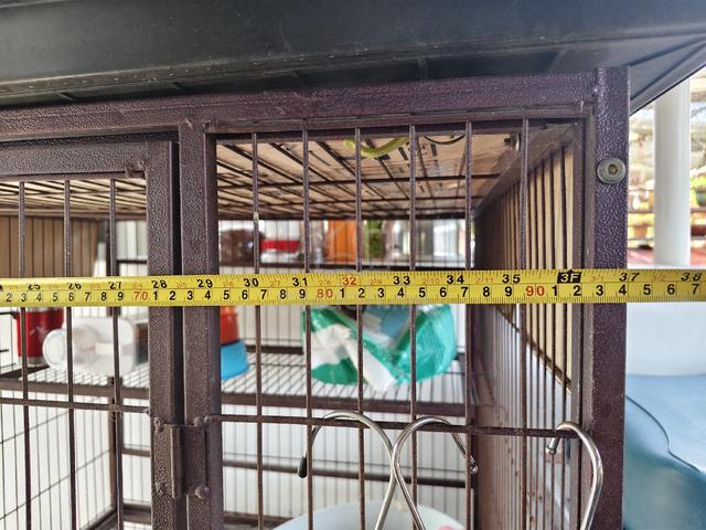 Carousel Image