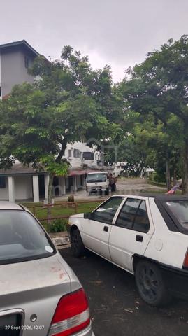 Balau 1