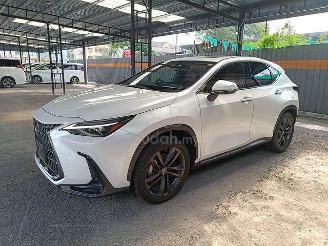 2023 Lexus NX 250 2.5 LUXURY (A) - 5