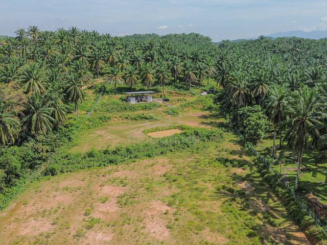 Tanah 3 Ekar di Rembau, Negeri Sembilan 4