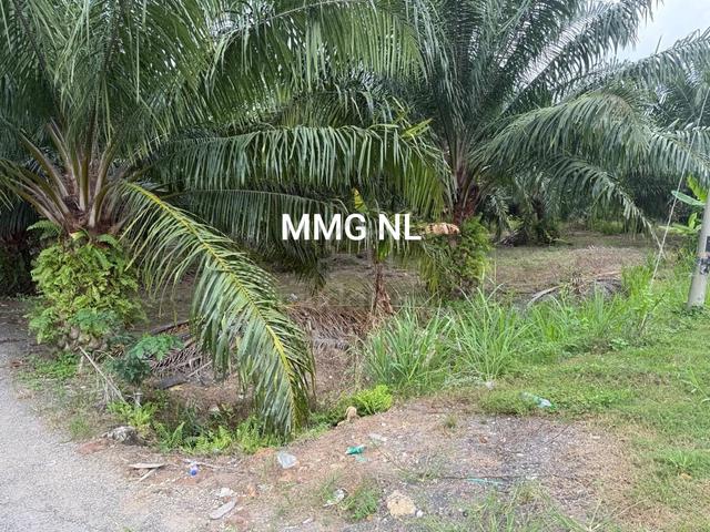 Teluk mengkuang kuala langat agricultural land industrial zoning 1