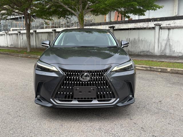 2022 Lexus NX250 2.5 LUXURY (A) BLACK INTERIOR - 2