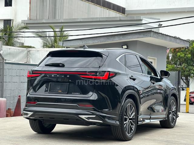 2023 Lexus NX 250 2.5 VERSION L (A) MARK LEVINSON - 3
