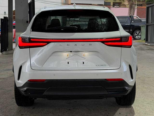LEXUS NX250 l 34283KM Grade 5B✨Sunroof Brown Seat - 3