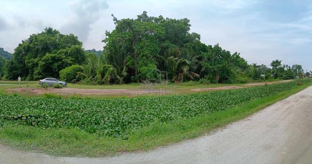 Tanah First Garde Juru 1