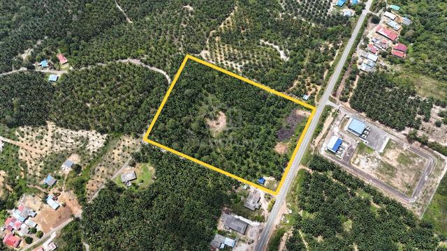 FREEHOLD Tanah Sawit 8.24 ac Kg Sayang Sedili Besar [TEPI JALAN BESAR] 1