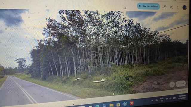 TANAH Pokok Getah Tepi Jalan dari Gajah Mati  Ke Bkt Payung 1