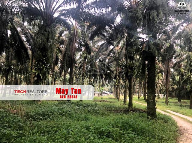 PERMATANG TINGGI LAND Zoning Residential Industrial near Bukit Minyak 1