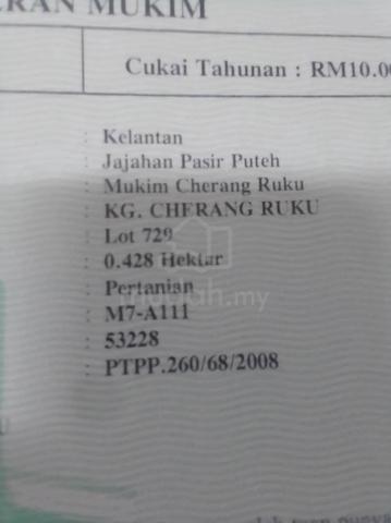 Tanah Di Mukim Cherang Ruku Pasir Puteh 1