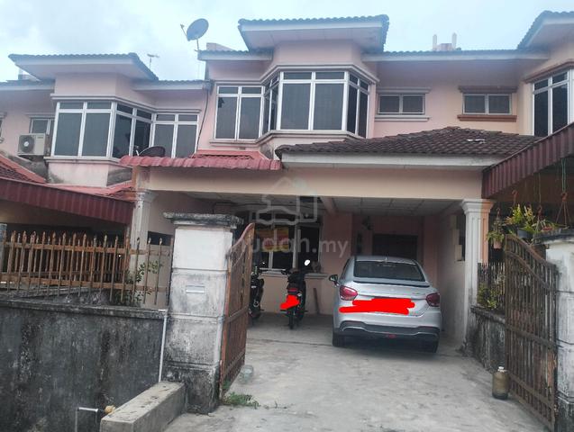 male single tmn bkt flora bp 1