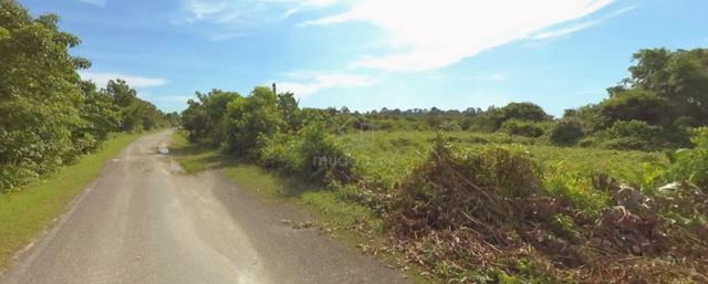 Freehold Agriculture Land Bekenu Sibuti 1