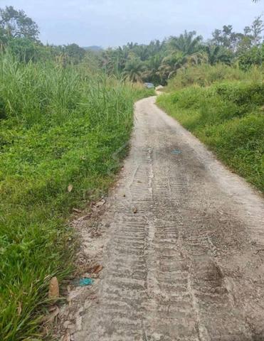 LOKASI STRATEGIK🤩DUSUN & AIR TERJUN✅Tanah Kg Relau, Bndr Baharu 3